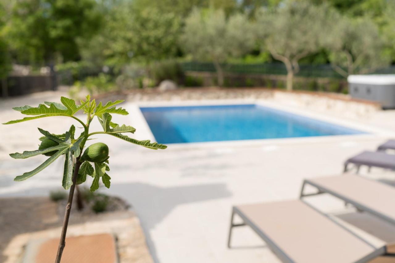 Rasopasno Stone Lady Holiday Home With Pool&Hot Tub,Sauna,Bbq,Garden מראה חיצוני תמונה